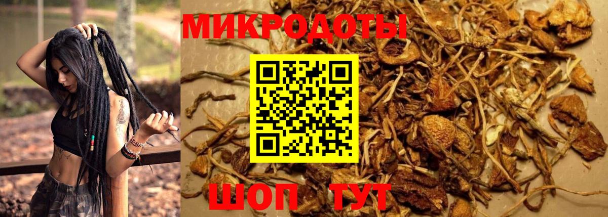 Псилоцибиновые грибы ЛСД  Псилоцибиновые грибы мицелий  Ульяновск  где найти наркотики  Вход с VPN 